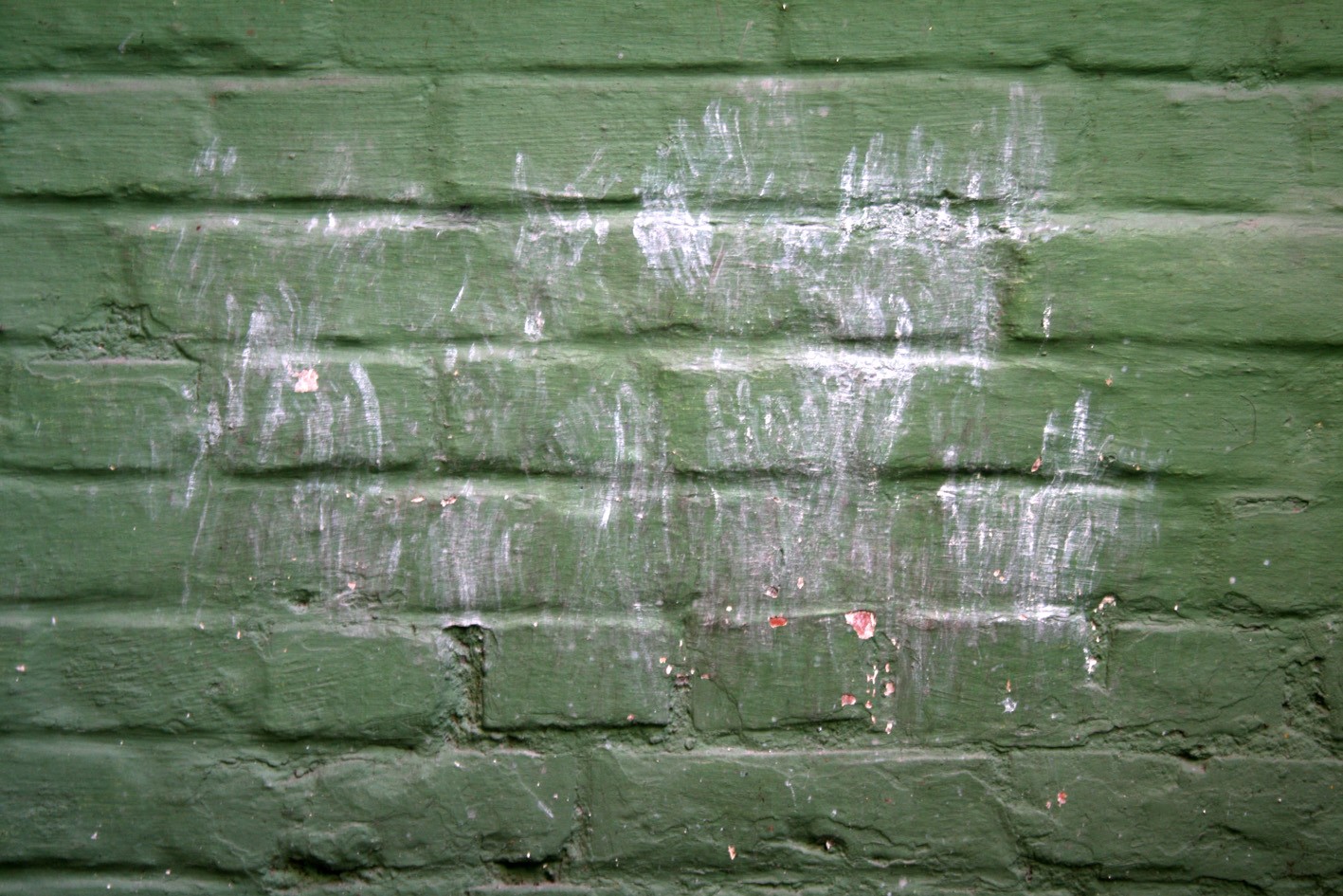 Steve Reich Steve Reich